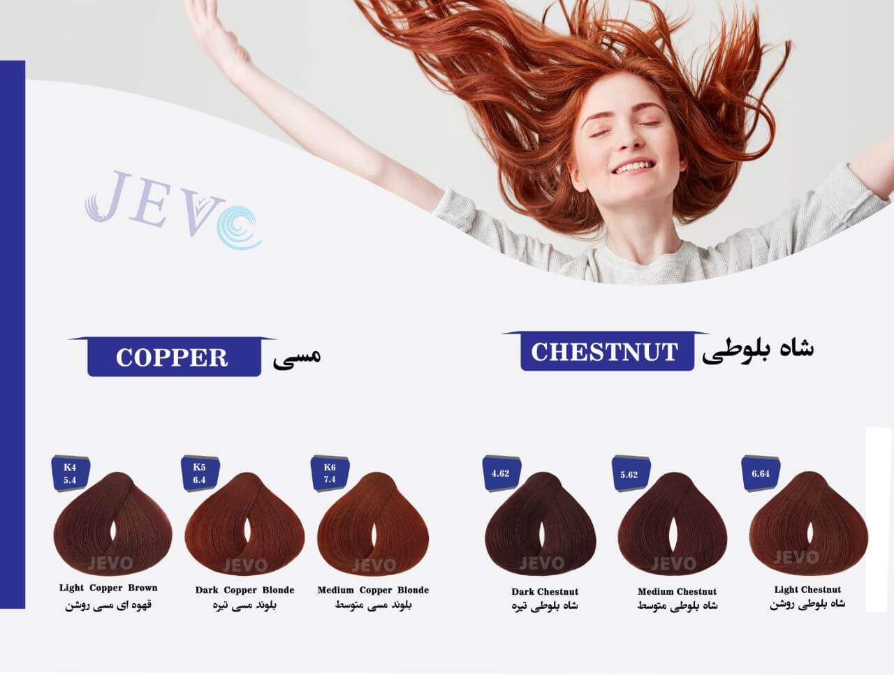 کاتالوگ رنگ موی شاه بلوطی جوو